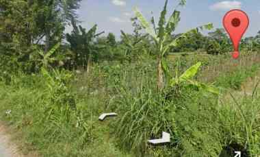 Dijual Tanah Sawah Area Leses Manisrenggo Klaten Jateng