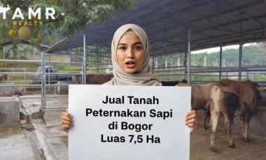 Dijual Tanah Bonus Ex Peternakan Sapi Kebun Duren Produktif