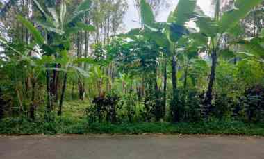 Tanah Dijual di Linggarjati kab. kuningan