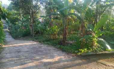 Dijual Tanah Kebun Buat Invest atau Rumah di Linggasana Linggarjati Ku