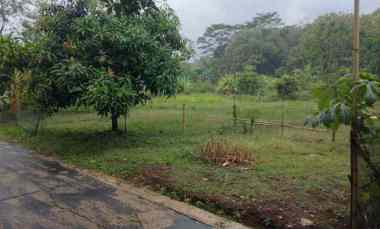 Dijual Tanah Lingkungan Pemukiman Rumah Penduduk