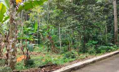 Dijual Tanah Siap Bangun Logede, Karangnongko hanya 575 Jut