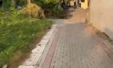 dijual tanah lokasi strategis area terminal mengwi