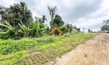 Dijual Tanah Luas 60 Hektar di Jalan Namorambe - Sembahe