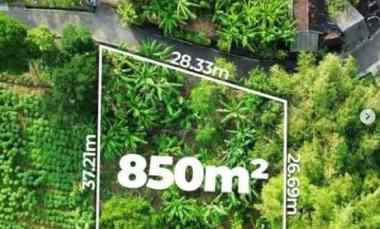 Dijual Tanah Luas 850 meter SHM, Tabanan Bali