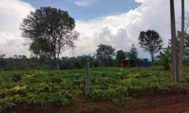 Tanah Dijual di Mandalasari