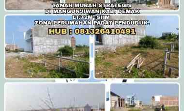 dijual tanah mangunjiwan kab demak