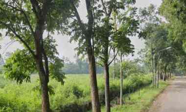 Tanah Industri Marengmang dekat Gerbang Tol Kalijati Subang
