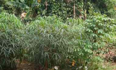 dijual tanah margahayu bekasi timur