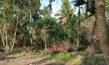 Dijual Tanah Premium dengan View Pantai Medewi yang Indah