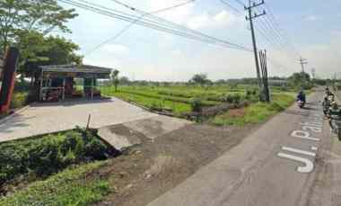 Tanah Raya Menganti Cocok untuk Segala Usaha Sebelah Golden Berry