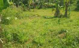 Dijual Tanah Milik Seluas 1641 M