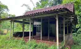 Tanah Kebun Durian Bonus Rumah Joglo Mojogedang Karanganyar