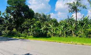 Tanah Dijual di Mojogedang, Karanganyar, Solo, Jawa Tengah