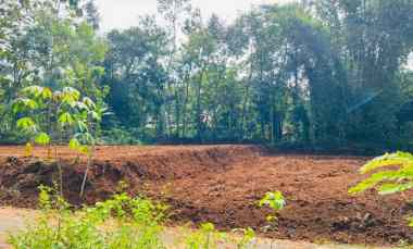 Tanah Dijual di Mojogedang, Karanganyar