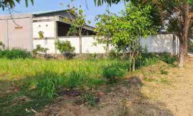 dijual tanah mojokendil ngronggot