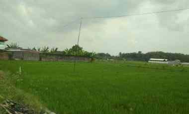 Tanah Pekarangan Strategis Dijual Cepat Sumberlawang Sragen Jateng