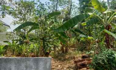 Tanah Murah, Istimewa Strategis Lokasi,dekat Kampus Undip Semarang