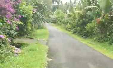 Kebun Kopi di Tabanan Bali hanya 20 menit ke Balian Beach