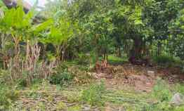 dijual tanah munjul