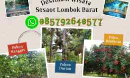 Dijual Tanah Murah DP 10JT