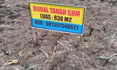 dijual tanah murah tikung lamongan