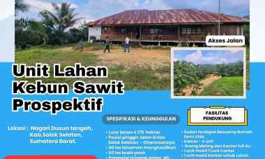 dijual tanah nagari dusun tangah kab