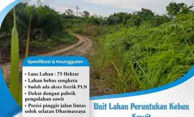 dijual tanah nagari dusun tangah solok