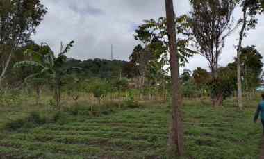 Dijual Tanah Nagreg Lokasi Strategis