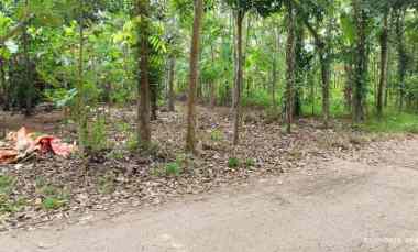 Tanah Dijual di Negeri Katon, Pesawaran