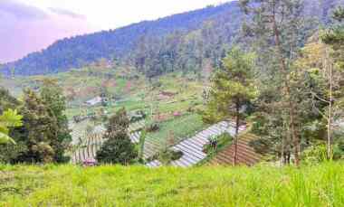 Tanah Cocok Dibangun Villa/Homestay Ngargoyoso, Karanganyar