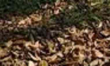 Murah Puolll Kavling Tanah Nginden Surabaya dekat Untag Unit F