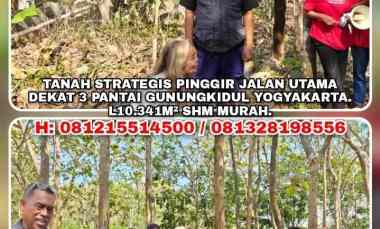 dijual tanah ngrenehan saptosari