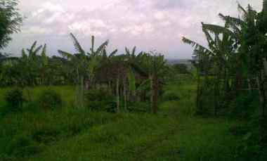 Dijual Tanah Pacet Mojokerto Luas 6.700 m2 Harga 1,5 juta Per m2