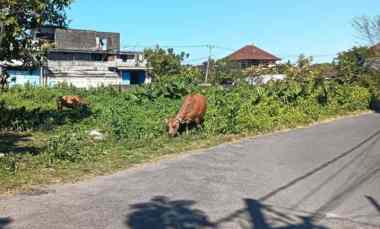 Dijual 5/10/23,28 are, jl. Bajataki Gatsu Barat Padangsambian Denpasar