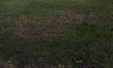 Kavling Siap Bangun, Pakuwon City, San Diego, Kenjeran, Luas 11,Nego