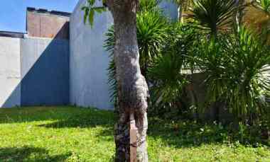 Kavling Lokasi Terdepan Cluster San Diego Pakuwon City dekat Mall