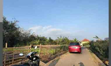 dijual tanah pandanrejo