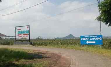 Tanah dekat Coban Lanang Taman Dolan Kota Batu Madewo Apples