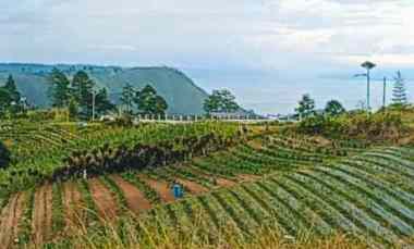 Jual Tanah View Danau Toba dekat Air Terjun Sipisopiso 08i3-7747-Ol0O