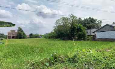 dijual tanah panggungharjo sewon bantul