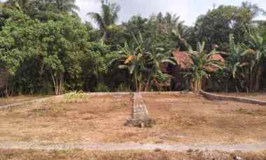 dijual tanah panjatan