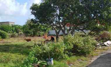 Dijual 30 are, jl. Pantai Balangan Jimbaran Atas Kuta Selatan