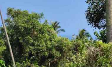 Dijual Lahan di dekat Pantai Balian dengan View yang Indah