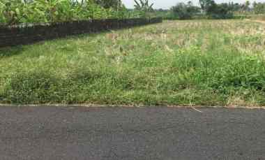 Dijual 35,5 are, jl. Pantai Kelating Raya Kerambitan Tabanan