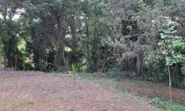 Tanah Dijual di Pantai Kelencung