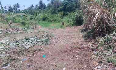 Dijual Tanah Lokasi yang Strategis di Pantai Nyanyi View Sawah