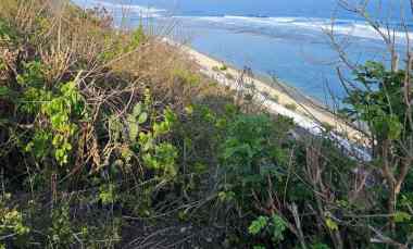 Tanah 1,253 Ha. LOSS TEBING, jl. Pantai Pandawa Kutuh Kuta Selatan