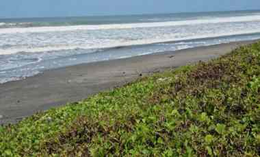 Dijual 69,15 are, Los Pantai Yeh Gangga Sudimara Tabanan