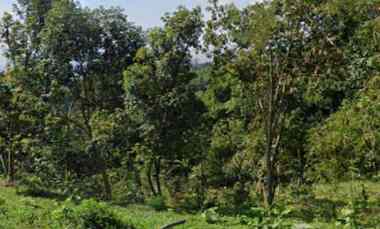 Tanah untuk Perumahan Permukiman di Panyirapan Soreang